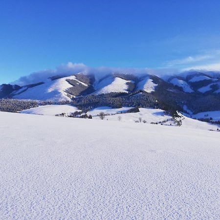 Penzion Baltazar Liptovska Luzna Dış mekan fotoğraf