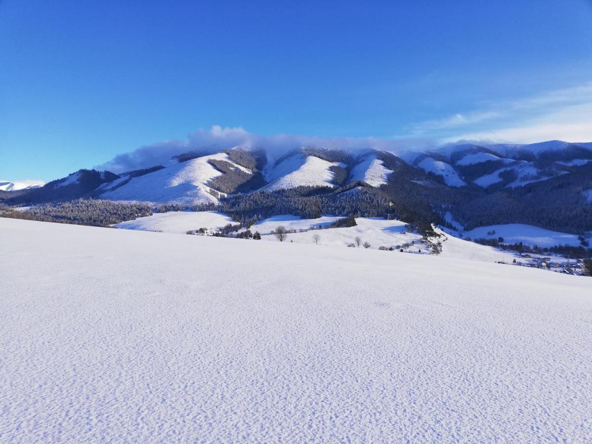 Penzion Baltazar Liptovska Luzna Dış mekan fotoğraf